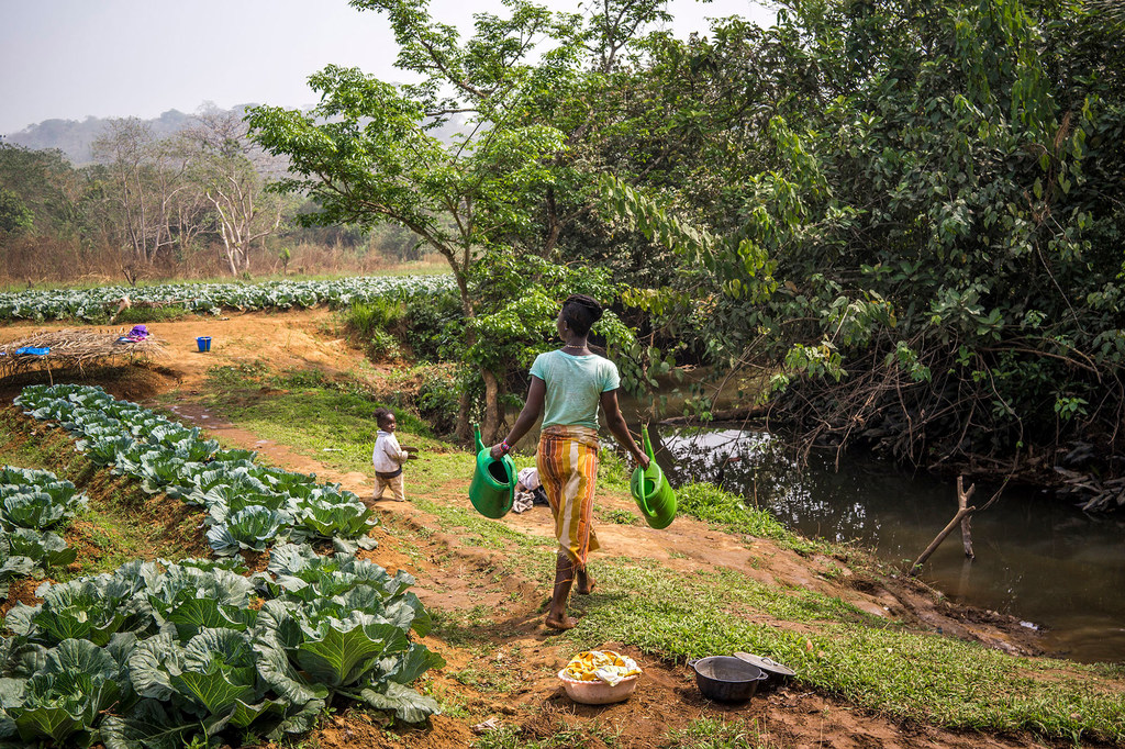 Una mujer atiende su huerta en Koinadugu, Sierra Leona.